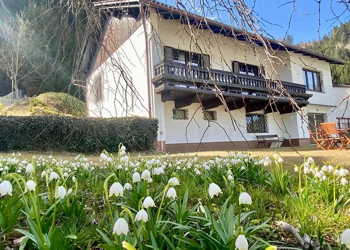 Forestside Raceway Hideaway * 尤登堡