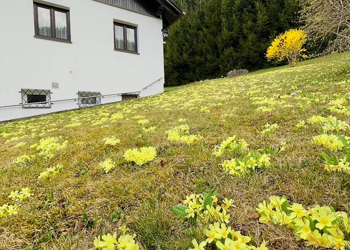 Forestside Raceway Hideaway *