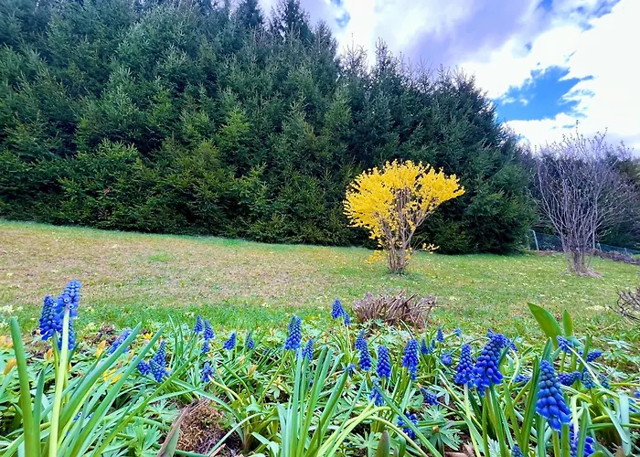 Сasa de vacaciones Forestside Raceway Hideaway Judenburg