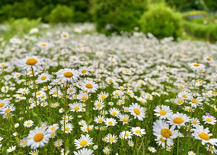 度假居 Forestside Raceway Hideaway *